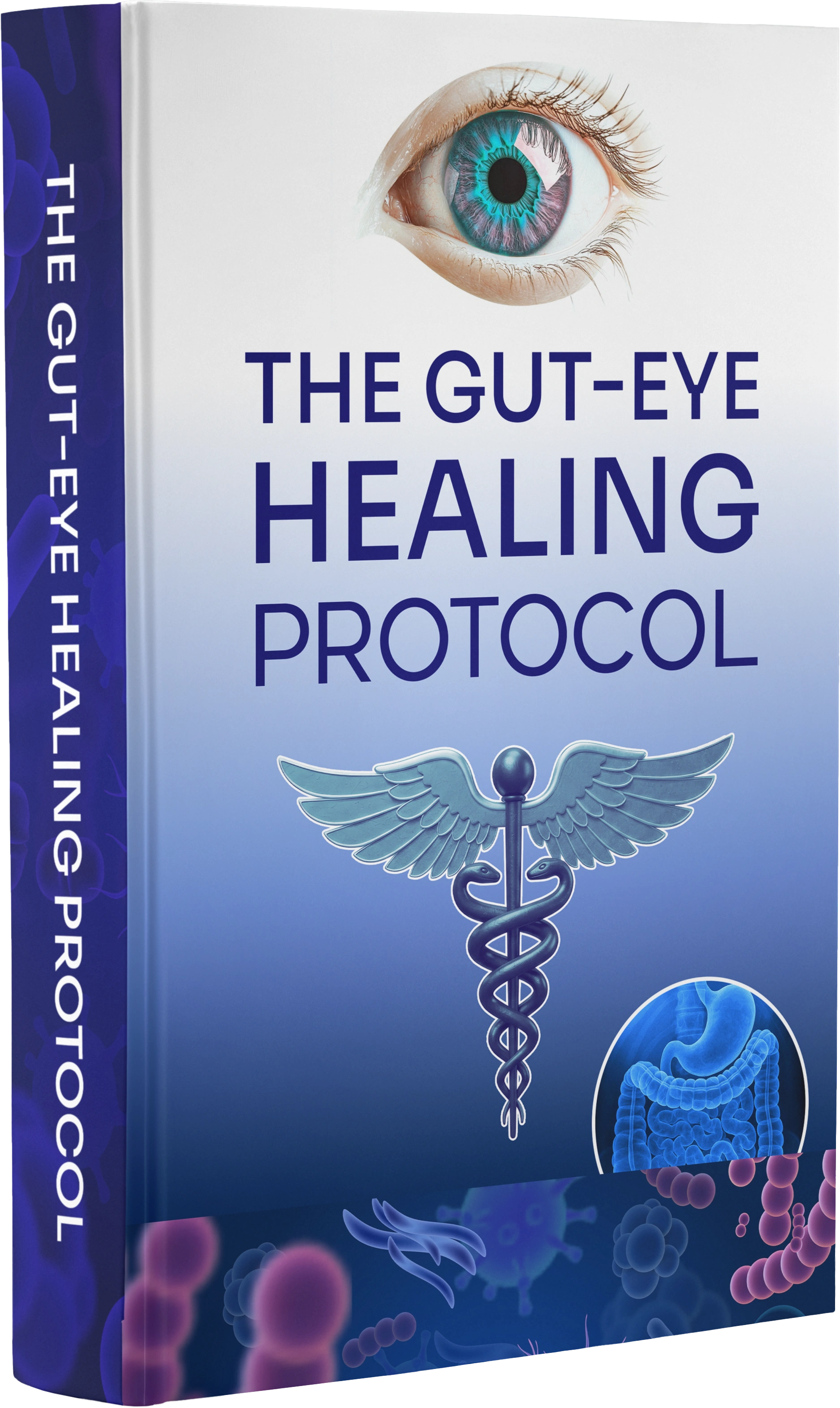visiflora free BONUS #2: The Gut-Eye Healing Protocol